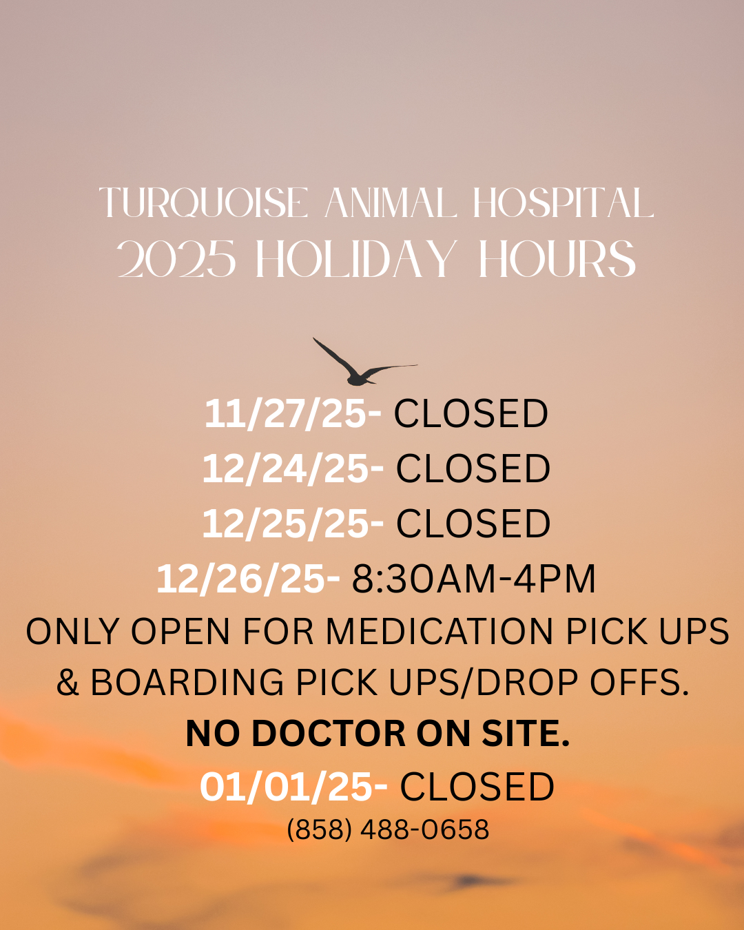 Holiday Hours